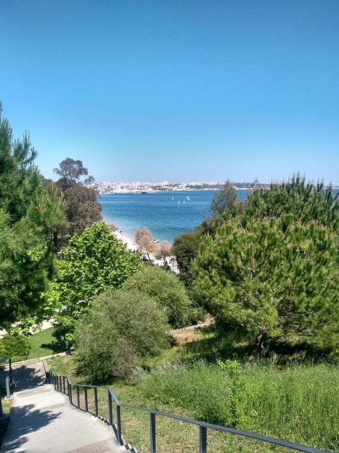 Setubal Downtown Todi I Apartman Kültér fotó